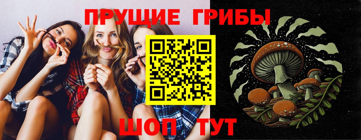 Псилоцибиновые грибы GOLDEN TEACHER Волжск