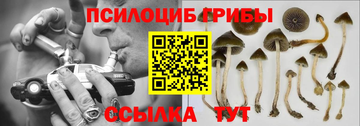 Волжск  Псилоцибиновые грибы мицелий  Вход с VPN 